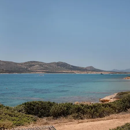 Blue Dolphin Antiparos View Lägenhet Agios Georgios (Antiparos)