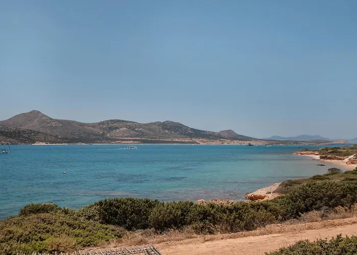 Blue Dolphin Antiparos View Lägenhet *